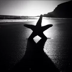 Foto op Canvas starfish © nito
