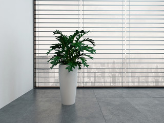 Modern empty room with green plant and white flower pot
