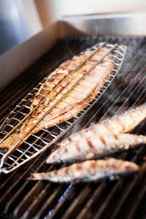 Fish on the grill