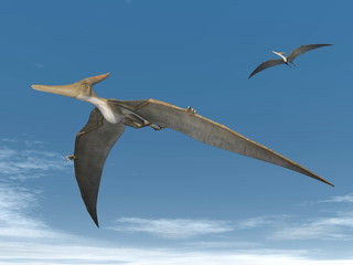 Fototapeta na wymiar Pteranodon dinosaurs flying - 3D render