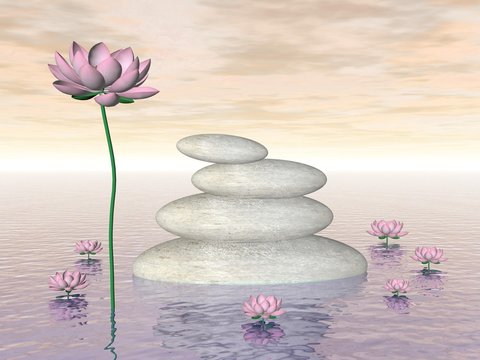 Zen lily flowers - 3D render