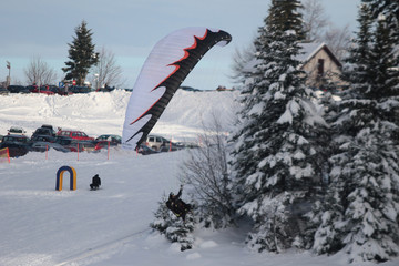 Paraglider