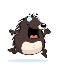 Hedgehog Running