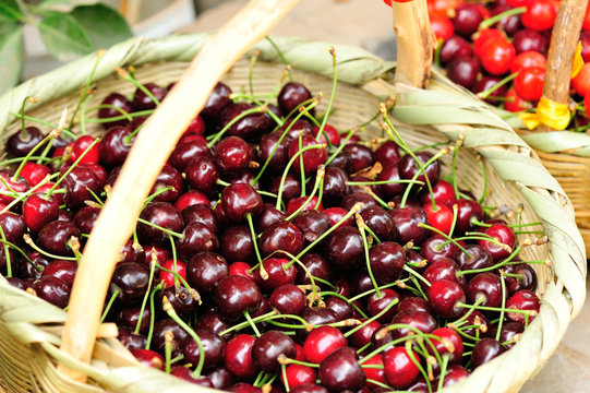fresh cherry fruit in bamboo basket