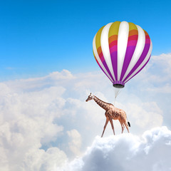 Flying giraffe