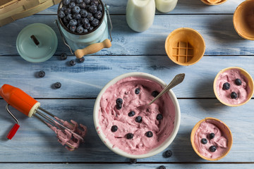 Ingredients for homemade blueberry ice cream