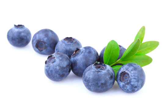 Blueberries isolated
