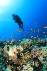 Fototapeta na wymiar Scuba diving on coral reef