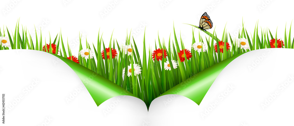 Aufkleber spring background with flowers, grass and a ladybug. vector.