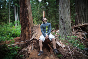Hiker in Redwoods