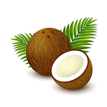 Coconut with palm leaves on white background