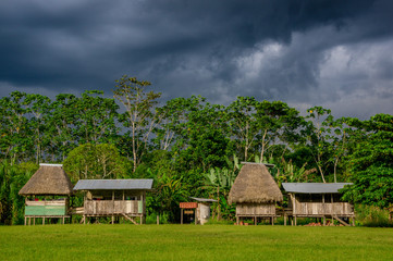 Fototapeta na wymiar Village in Yasuni national park , Ecuador