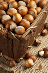 Hazelnuts in basket