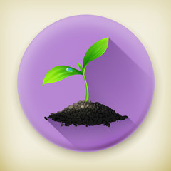 Plant, long shadow vector icon
