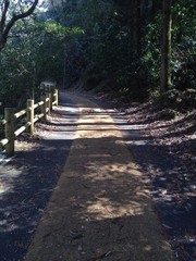 森の山道