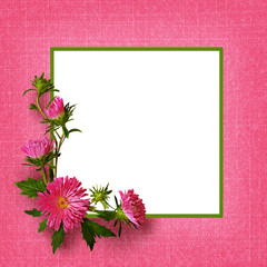 Aster flowers composition and frame