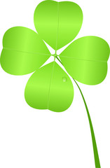 Four-leaf clover for St. Patrick's Day isolated