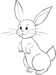 hoppelndes Kaninchen