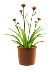 realistic 3d render of anigozanthos