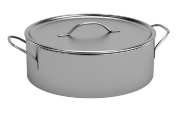 realistic 3d render of pot