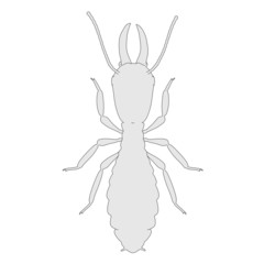 cartoon image of termite ant