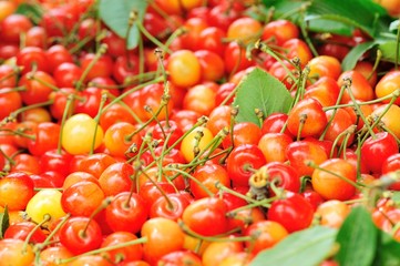 fresh cherry fruit in bamboo basket