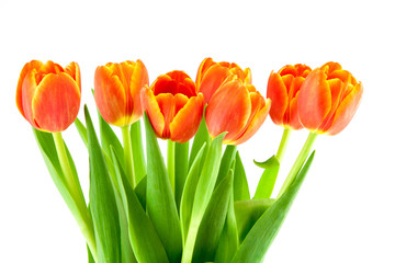 bouquet of yellow and orange tulips isolated