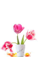 beautiful tulips in a vase with gratitude