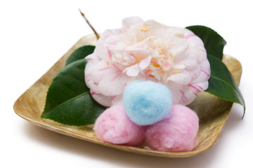 Fototapeta na wymiar Camellias with cotton