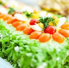 Closeup of sandwich cake with tomatoes and salad