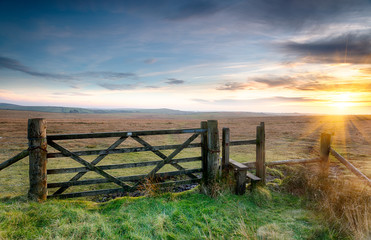 Fototapeta premium Bodmin Moor