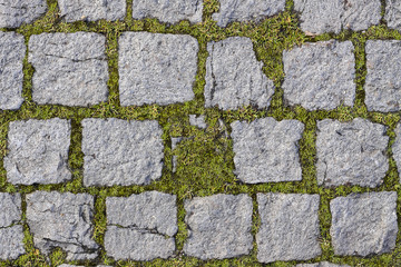 square stones texture with grass
