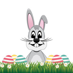 happy gray bunny colorful eggs daisy meadow isolated