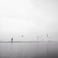 man walking on the beach with flock of birds flying