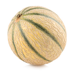 cantaloupe melon