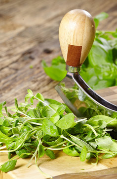 fresh and chopped herbs on cutting board