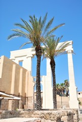 Palm trees against blue sky in Tel Aviv, Israel