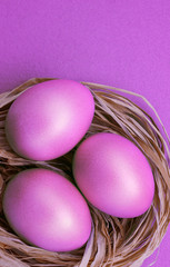 Easter eggs on pink background with copy space