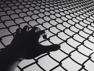 Hand holding wire fence in black and white