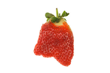 Single cute strawberry