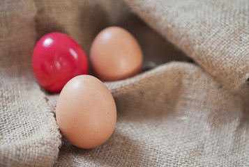 oeufs sur toile de lin