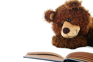 stuffed bear reading a book isolated on white - Powered by Adobe