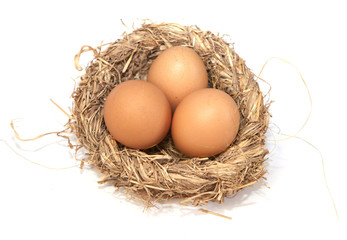 trois oeufs brun dans un nid