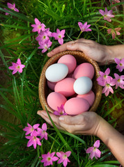 easter eggs