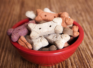 Dog Treats