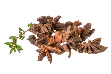 Star-anise