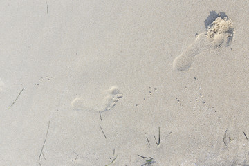 Footprints in the sand
