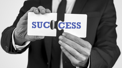 Two puzzle pieces with the word success