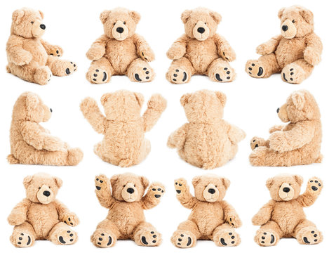 Naklejki Teddy bear in different positions