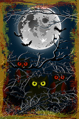 Halloween owl moon background